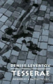 Tesserae - Memories & Suppositions (Paper)