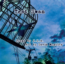 Bertrand.pt - Test Swan