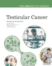 Testicular Cancer