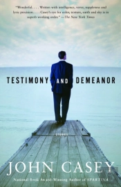 Testimony And Demeanor