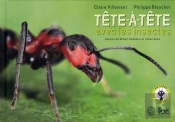 Tête-À-Tête Avec Les Insectes