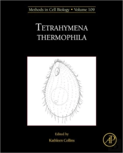 Bertrand.pt - Tetrahymena Thermophila