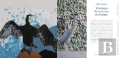 Tétralogie Des Oiseaux Du Halage