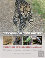 Texans On The Brink