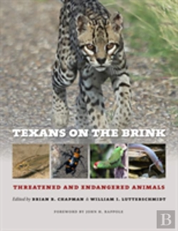 Bertrand.pt - Texans On The Brink