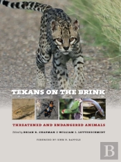 Texans On The Brink