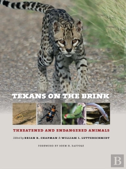 Bertrand.pt - Texans On The Brink