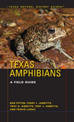 Bertrand.pt - Texas Amphibians