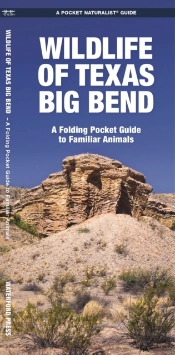 Texas Big Bend, Wildlife Of