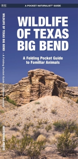 Bertrand.pt - Texas Big Bend, Wildlife Of