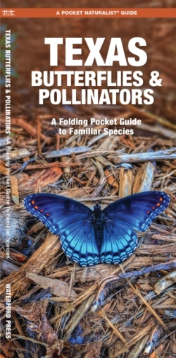 Bertrand.pt - Texas Butterflies & Pollinators