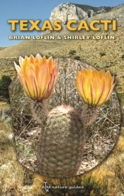 Texas Cacti