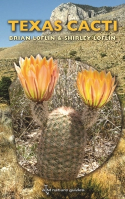Bertrand.pt - Texas Cacti