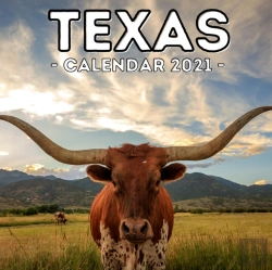 Bertrand.pt - Texas Calendar 2021