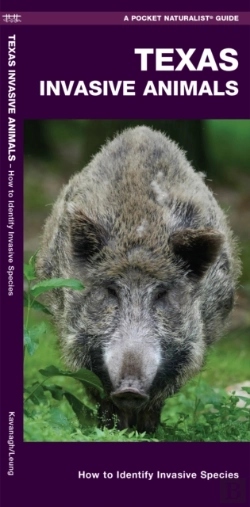Bertrand.pt - Texas Invasive Animals