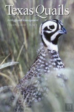 Bertrand.pt - Texas Quails