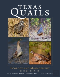 Bertrand.pt - Texas Quails