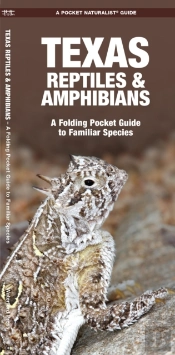 Texas Reptiles & Amphibians