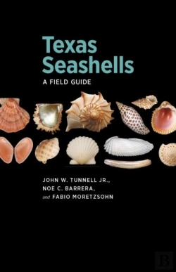 Bertrand.pt - Texas Seashells