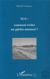Tgv : Comment Eviter Un Gachis Annonce