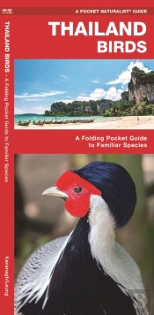 Thailand Birds