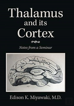 Bertrand.pt - Thalamus And Its Cortex