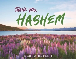 Bertrand.pt - Thank You, Hashem
