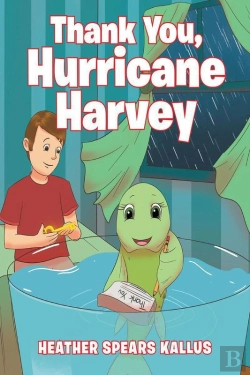 Bertrand.pt - Thank You, Hurricane Harvey