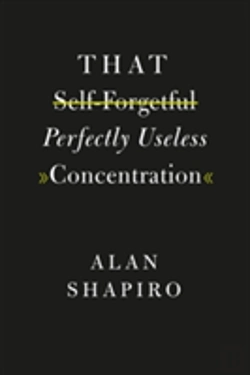 Bertrand.pt - That Self-Forgetful Perfectly Useless Concentration