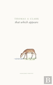That Which Appears