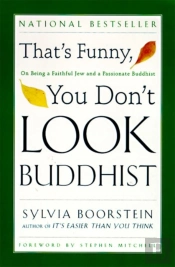 That'S Funny, You Dont Look Buddhist