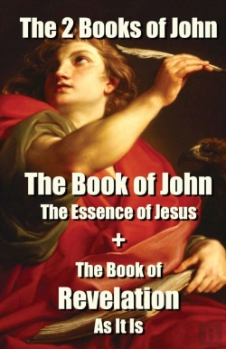 Bertrand.pt - The 2 Books Of John: The Book Of John Th
