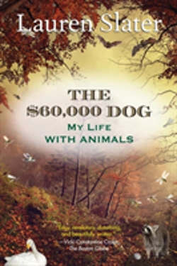 Bertrand.pt - The $60,000 Dog