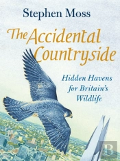 The Accidental Countryside