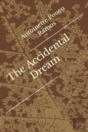 The Accidental  Dream