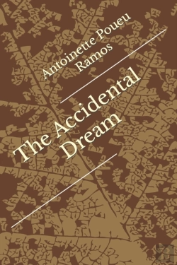 Bertrand.pt - The Accidental  Dream