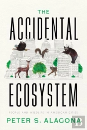 The Accidental Ecosystem