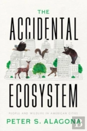 The Accidental Ecosystem