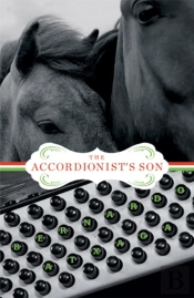 The Accordionist'S Son