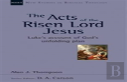 The Acts Of The Risen Lord Jesus