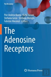 The Adenosine Receptors