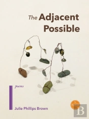 The Adjacent Possible