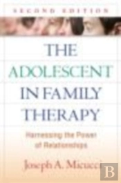 The Adolescent In Family Therapy, Second Edition
