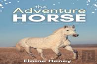 The Adventure Horse