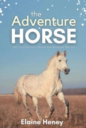 The Adventure Horse