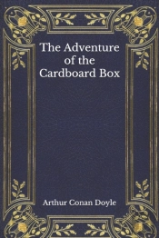 The Adventure Of The Cardboard Box