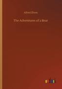The Adventures Of A Bear