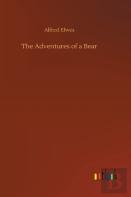 The Adventures Of A Bear