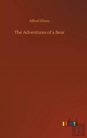 The Adventures Of A Bear