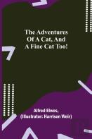 The Adventures Of A Cat, And A Fine Cat Too!